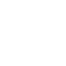 MV Jindal Elevators - Your Trusted Partner in Elevation